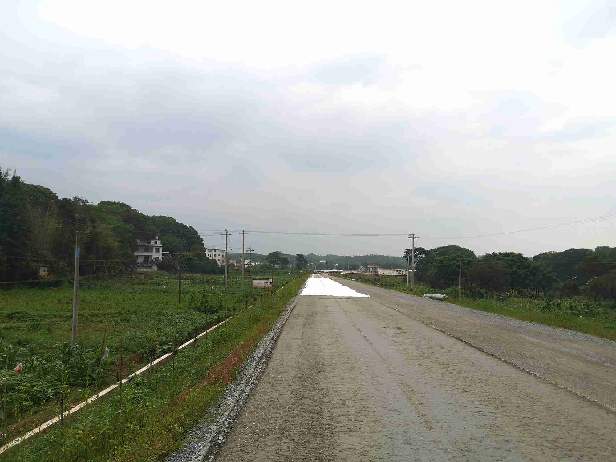 123.jpg